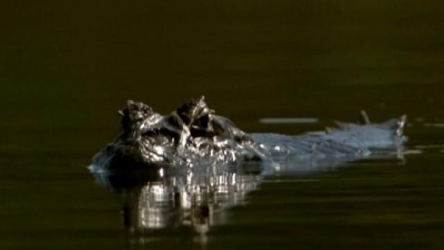 Los mundos bajo el agua