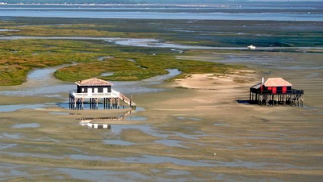 Le Bassin d'Arcachon
