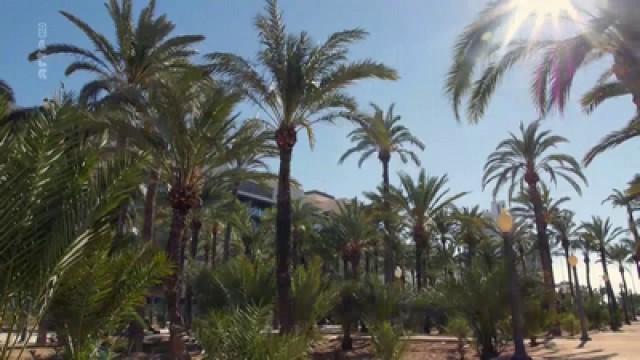 Palmeraie d'Elche, Espagne
