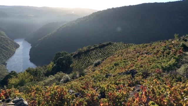 Ribeira Sacra, Espagne