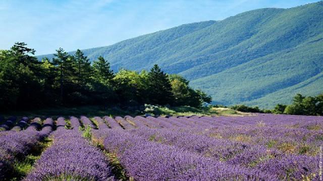 Le Luberon