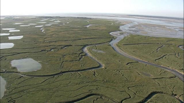 Baie de Somme