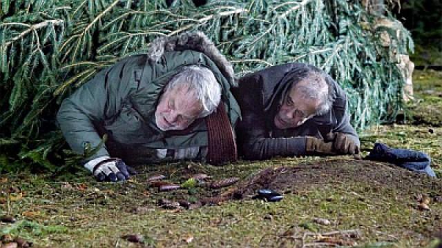 O Tannenbaum