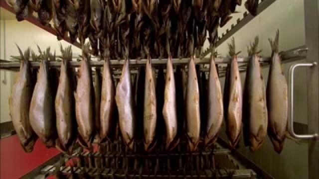 Smoking Salmon