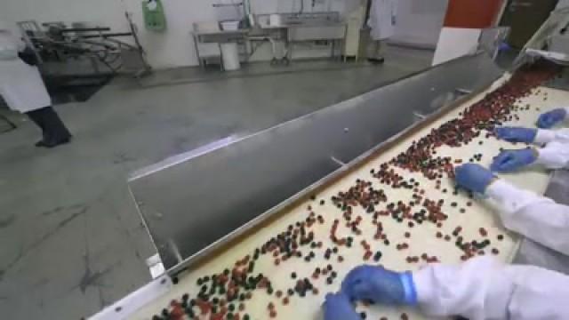 Berry, Berry Tasty
