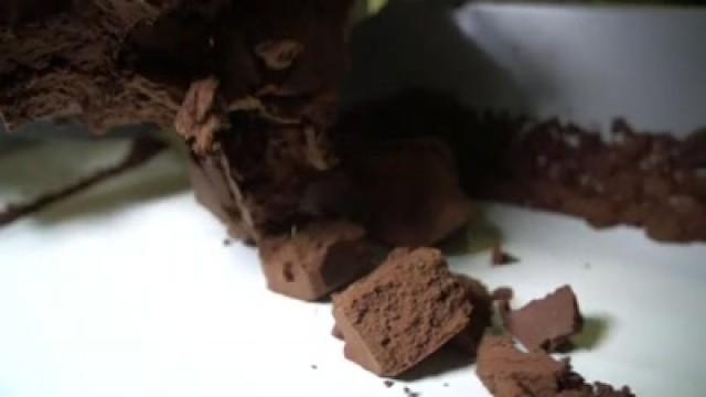 Chocolate Under Wraps