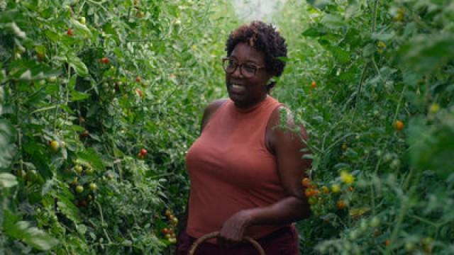 Vol. 6: Mashama Bailey
