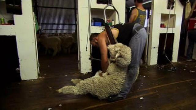 Australia: A Thirsty Continent