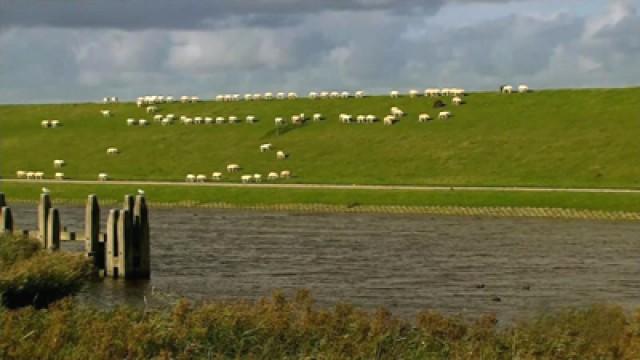 Netherlands: A Country Beneath the Sea