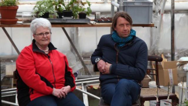 I lære som enke