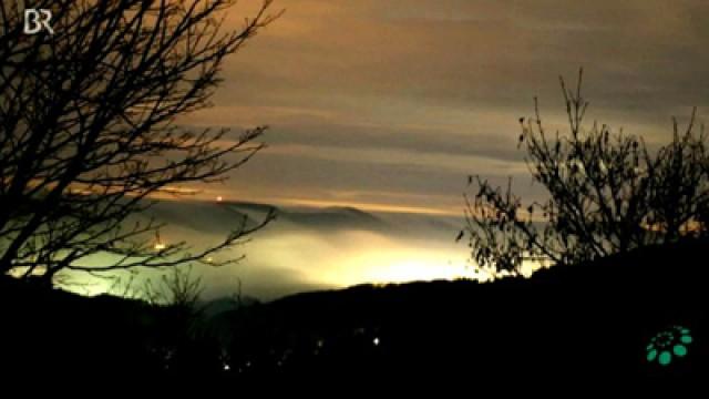 Helllichte Nacht - Welche Folgen hat Lichtverschmutzung?