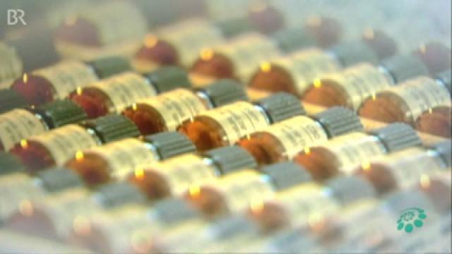 Homöopathie - Medizin oder Mogelpackung?