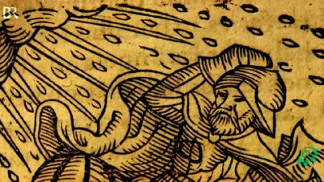 Zerstörerische Stürme - Können wir uns schützen?