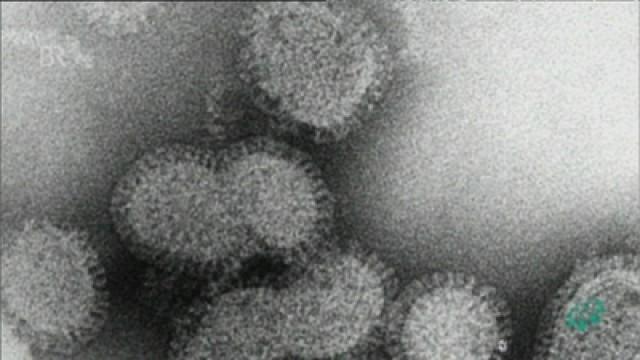 Im Reich der Viren - Der tägliche Wettlauf gegen die Grippe