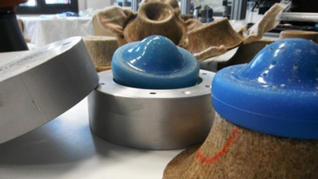 Bionik - ist die Natur der bessere Baumeister?