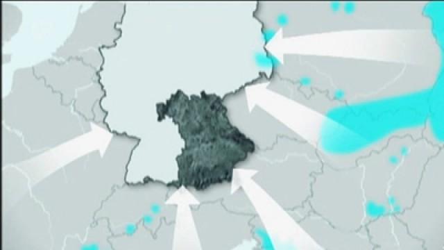 Wölfe in Bayern - bekommen sie ihre Chance?