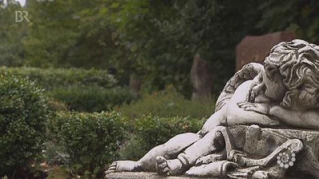 Von wegen Friedhof - wenn Staub nicht zu Staub wird