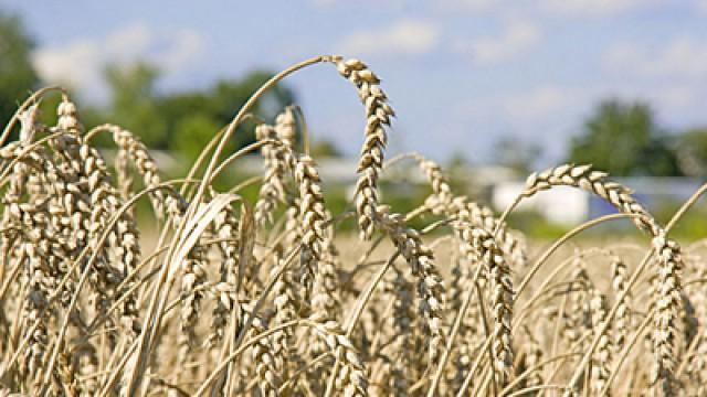 Bio für alle - Unsinn oder Utopie?
