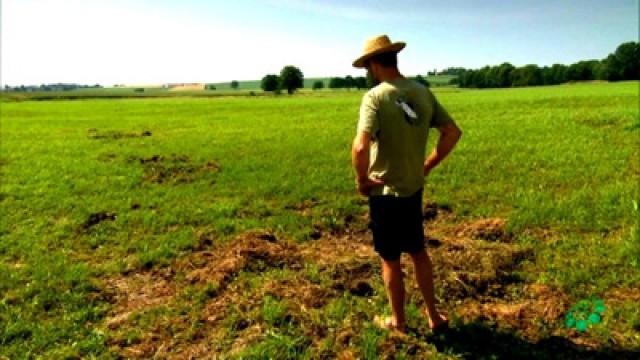 Radioaktive Rowdys - Die Wildschwein-Plage