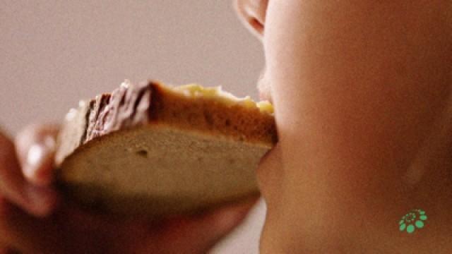 Brot - Macht es uns krank?