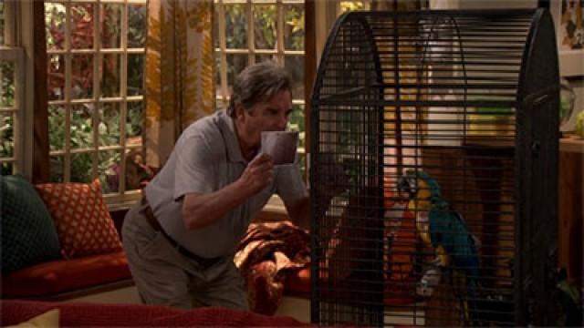 Giving the Bird