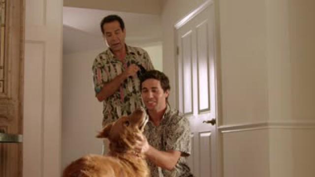 We Are Dognappers