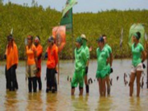 Desafío Final