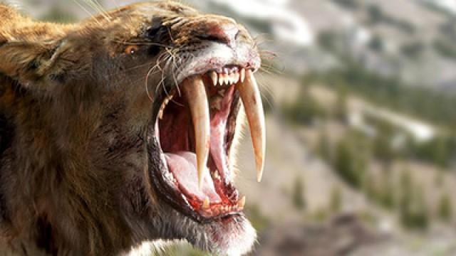 Land of the Sabre-Tooth