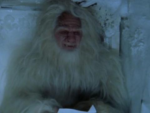 Der Yeti
