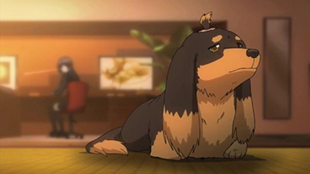 Si un perro da un paso adelante puede que ocurra un desastre