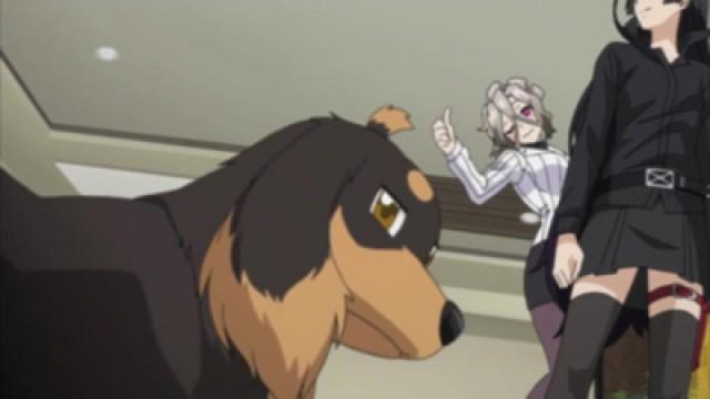 En perro cerrado no entran moscas