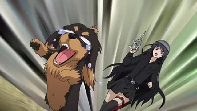 Los perros son como las tijeras, hay que manejarlos con cuidado