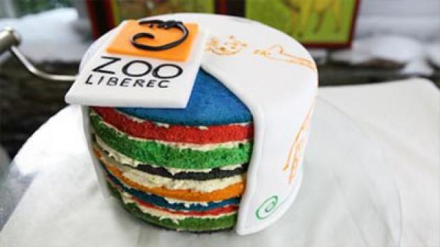 Barevný dort ZOO Liberec