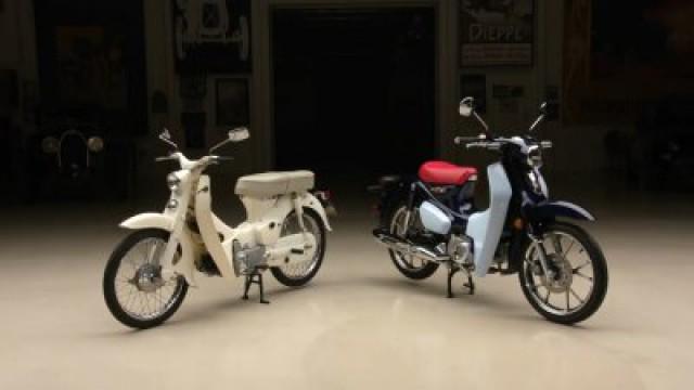 Honda 50 and Honda Super Cub