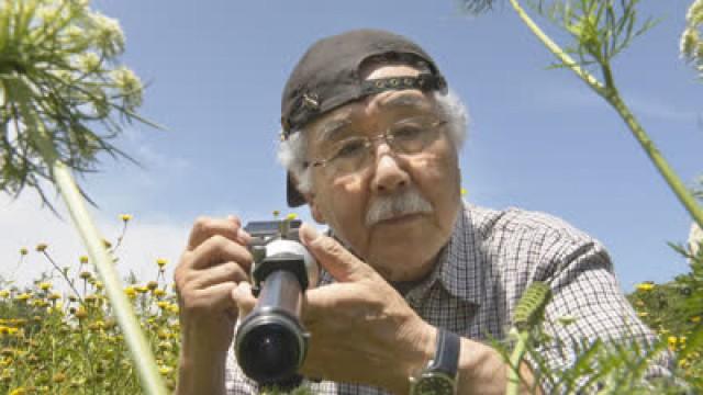 Capturing Fleeting Lives: Satoshi Kuribayashi, Biological Ecology Photographer