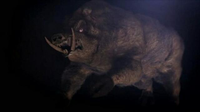 Hogzilla of Hocking Hills