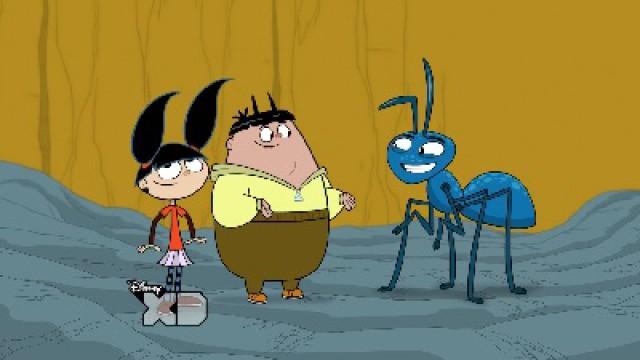Ants in Our Camp