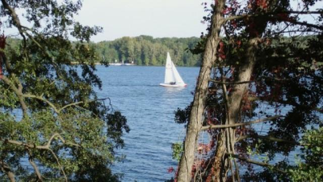 Bad Saarow