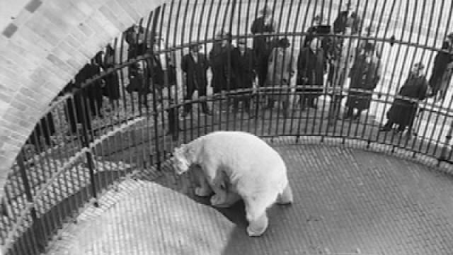 Der Zoologische Garten Berlin – Geschichte einer Großstadtoase