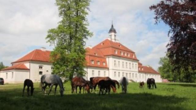 Neustadt an der Dosse – Das preußische Gestüt