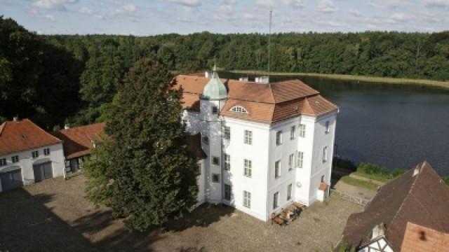 Der Grunewald