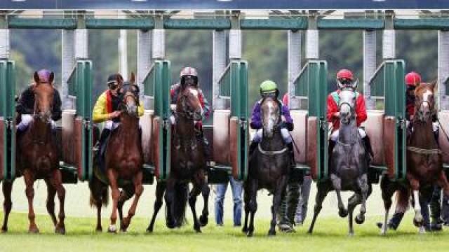 Rennbahn Hoppegarten