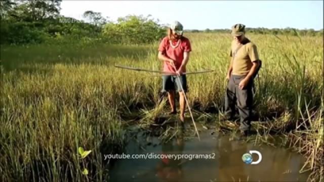Atolados na Lama