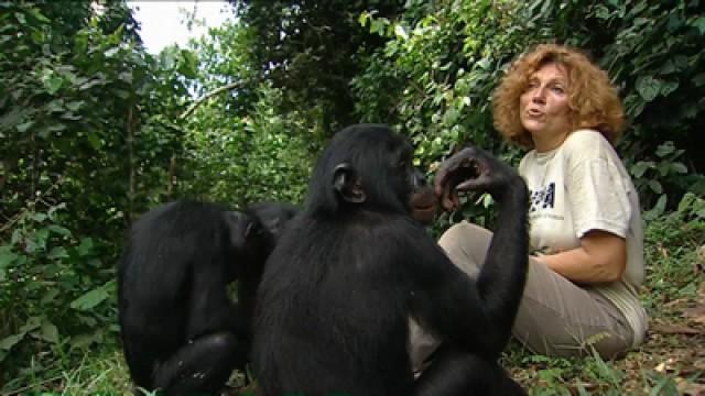Die Mutter der Bonobos