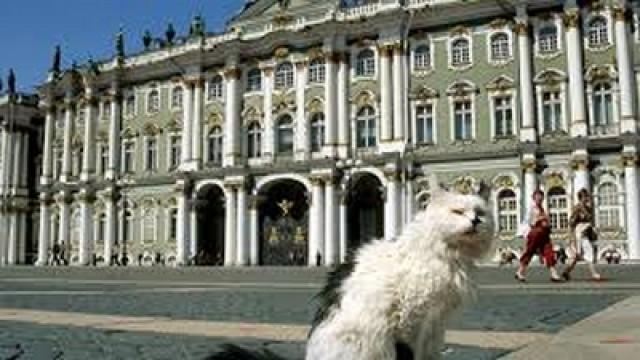 Eremitage – Palast der Katzen