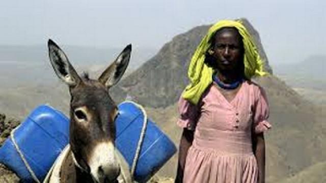 Eritrea – Ein Esel für die Zukunft