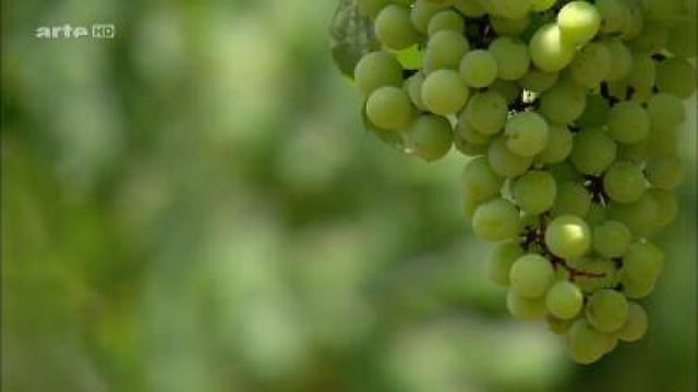 Der Weinpriester von Bali