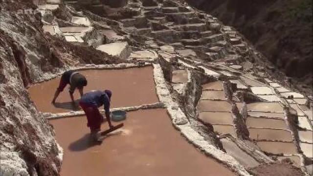Das Salz der Inka
