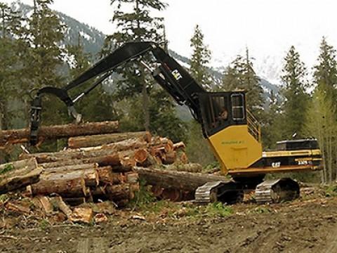 Die Holzfäller von British Columbia