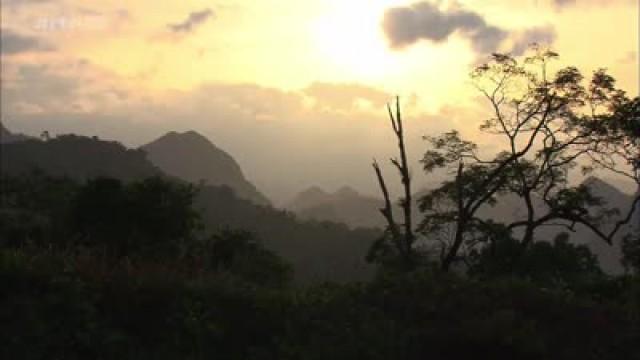 Vietnams vermintes Paradies
